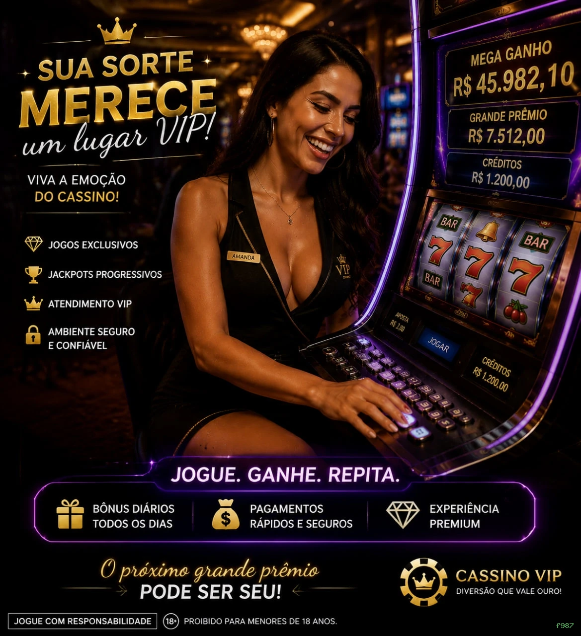 Experiência VIP f987